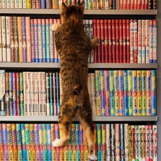 angryreader