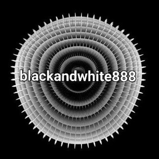 blackandwhite888