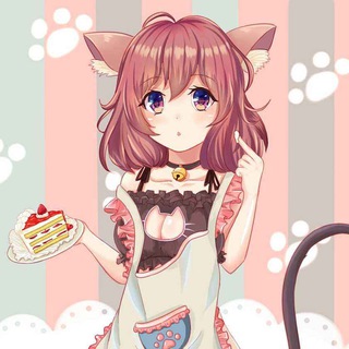 kittythenight