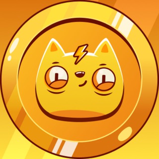 kittyverse_ai