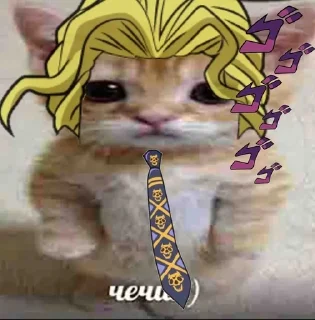 Jojo chechile