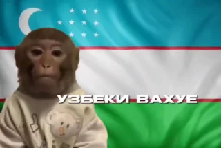 сави :: @bu1ler