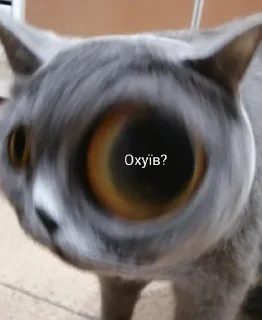 яїбу?😁🇺🇦